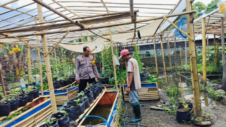 Warga Dusun Tempit Didorong Tanam Cabai dan Tomat, Polri Aktif Dukung Kemandirian Pangan