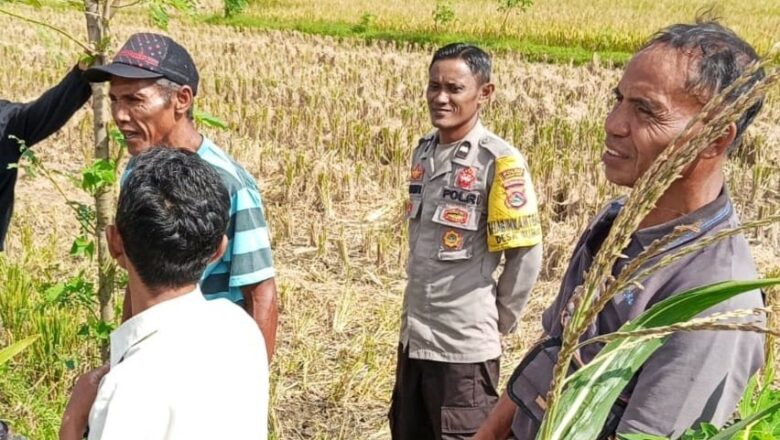 Polsek Kediri Kembangkan Program Ketahanan Pangan di Desa Rumak, Lombok Barat
