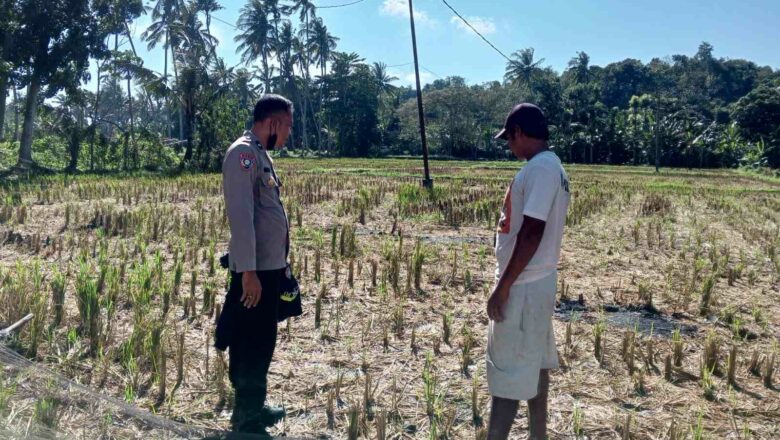 Bhabinkamtibmas Kuripan Galakkan Ketahanan Pangan Rumah Tangga