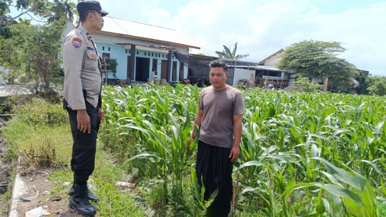 Sinergi Polri dan Petani di Labuapi: Wujudkan Desa Tangguh Pangan dan Aman