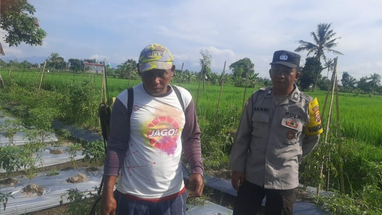 Sinergi Polri dan Petani Montong Are Percepat Ketahanan Pangan Nasional