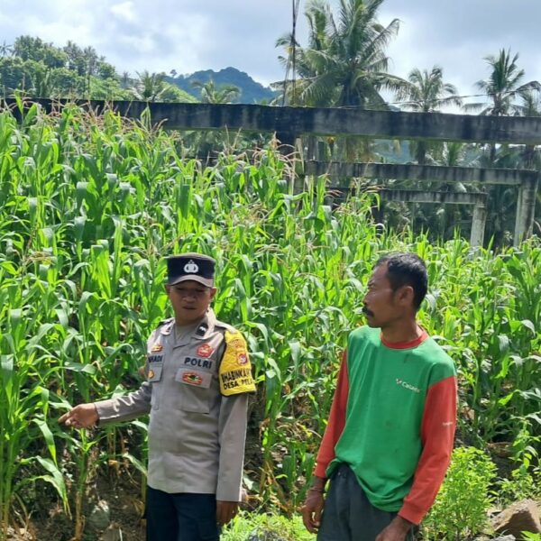 Sinergi Polisi dan Warga Sekotong Tingkatkan Ketahanan Pangan Lewat Pekarangan