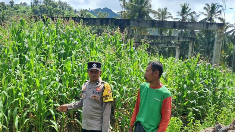 Sinergi Polisi dan Warga Sekotong Tingkatkan Ketahanan Pangan Lewat Pekarangan