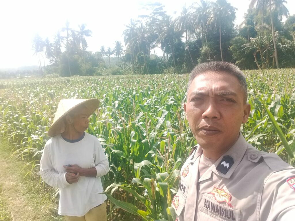 Dukungan Polri di Eyat Mayang, Petani Jagung Tak Sendiri