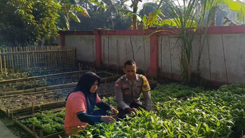 KWT Dusun Pemangket Manfaatkan Pekarangan, Polsek Kuripan Beri Dukungan Penuh