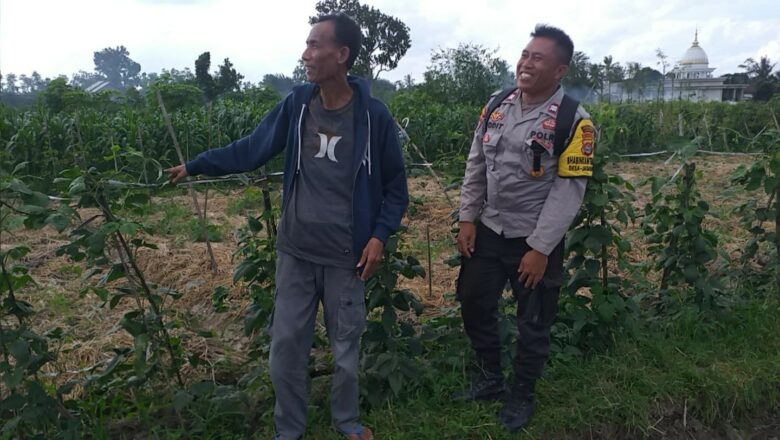 Dusun Beremi Jadi Contoh Pemanfaatan Pekarangan, Polri Dukung Ketahanan Pangan Lokal