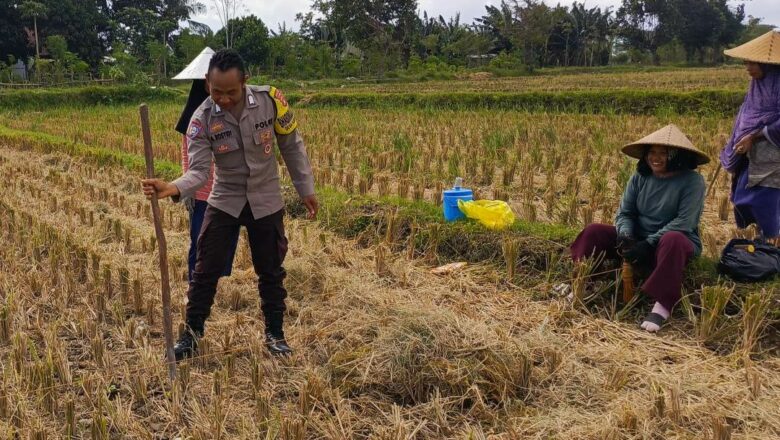 Sinergi Polri dan Petani di Dusun Iting Langgem: Dorong Produktivitas Jagung