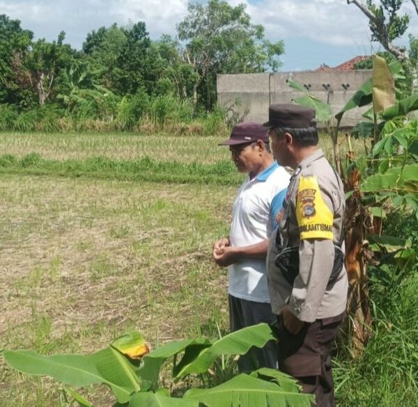 Bhabinkamtibmas Desa Sandik Dorong Ketahanan Pangan Keluarga