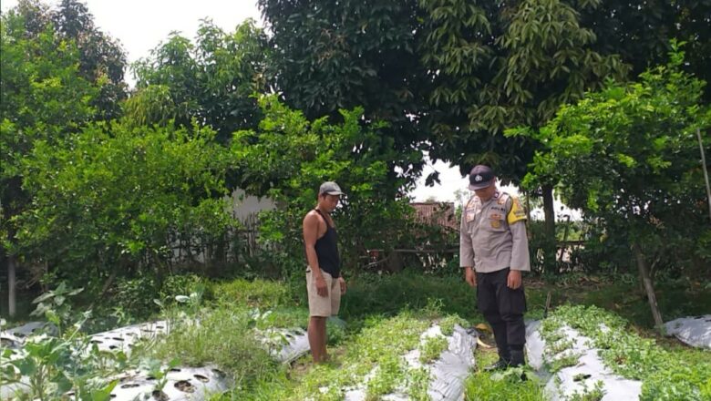 Ketahanan Pangan Dimulai dari Rumah: Inisiatif Polsek Kuripan di Dusun Dasan Geres Pande