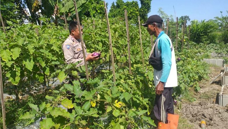 Bhabinkamtibmas Jagaraga Ajak Warga Optimalkan Lahan Pekarangan