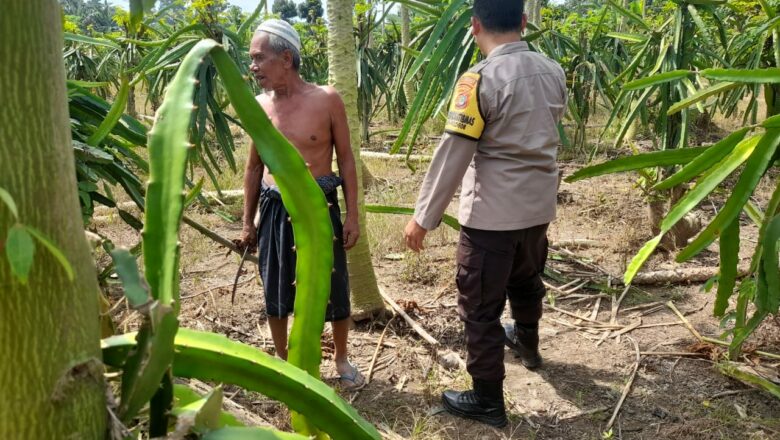 Polisi Desa di Gelogor Aktif Dampingi Petani Lindungi Tanaman