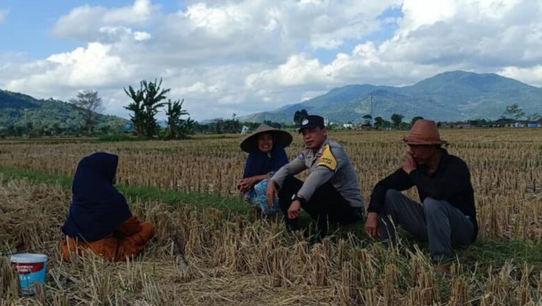 Ketahanan Pangan Dimulai dari Desa: Inisiatif Bhabinkamtibmas Babussalam