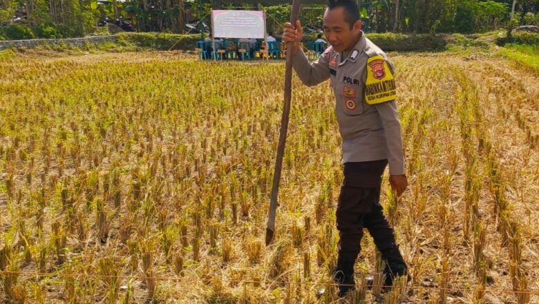 Polisi Ajak Warga Kuripan Utara Manfaatkan Pekarangan untuk Swasembada Pangan
