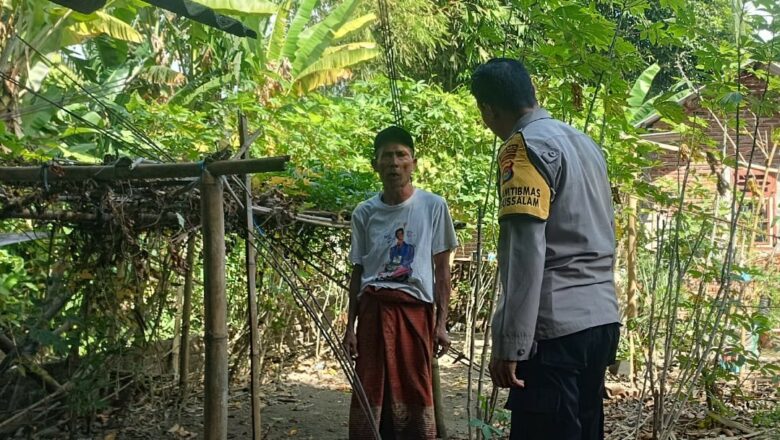 Ketahanan Pangan Dimulai dari Pekarangan: Inisiatif di Desa Babussalam