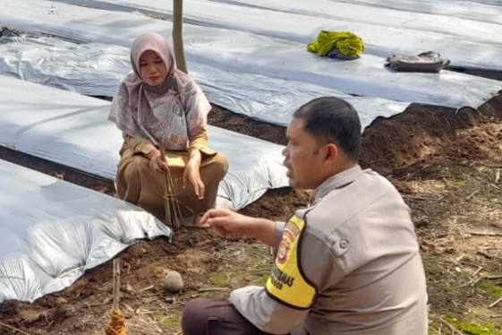 Sinergi Polisi-Petani di Dusun Gersik Asri Demi Ketahanan Pangan NTB