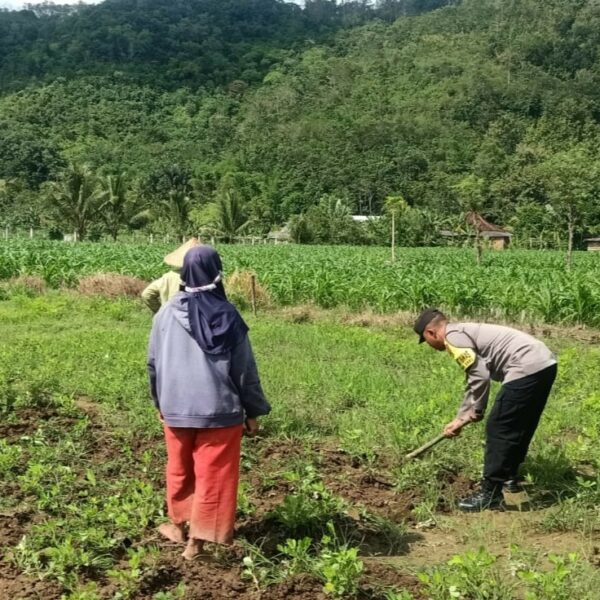 Bhabinkamtibmas Kuripan Gagas Ketahanan Pangan dari Pekarangan Rumah
