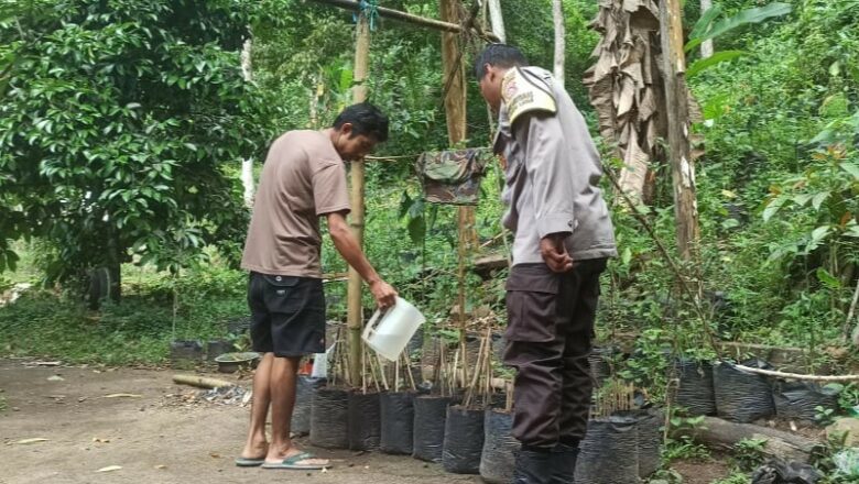Pekarangan Bergizi di Dusun Orong: Sinergi Polisi dan Warga Jaga Ketahanan Pangan