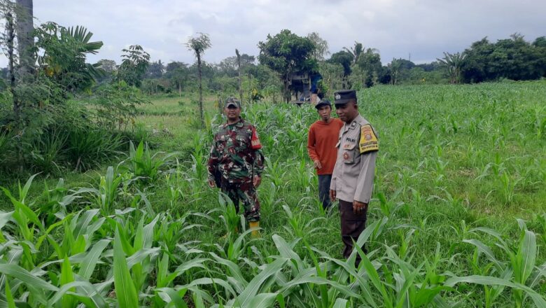 Sinergi Polri dan Petani Montong Are Wujudkan Swasembada Pangan