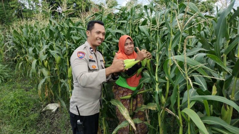 Sinergi Polri dan Petani di Labuapi: Optimalkan Pekarangan untuk Kemandirian Pangan