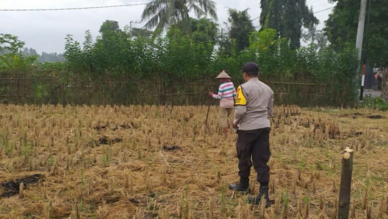 Sinergi Polri dan Warga Jagaraga dalam Gerakan Swasembada Pangan Keluarga