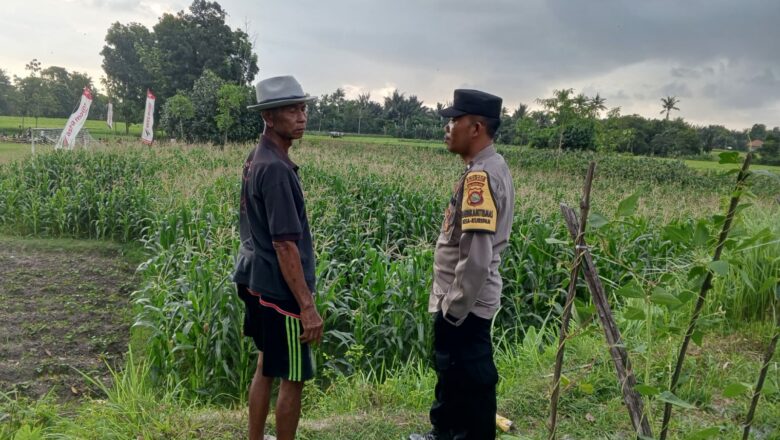 Bhabinkamtibmas Edukasi Petani Kuripan Utara Soal Ketahanan Pangan
