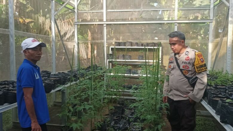 Bhabinkamtibmas Sandik Edukasi Pemanfaatan Pekarangan untuk Pangan