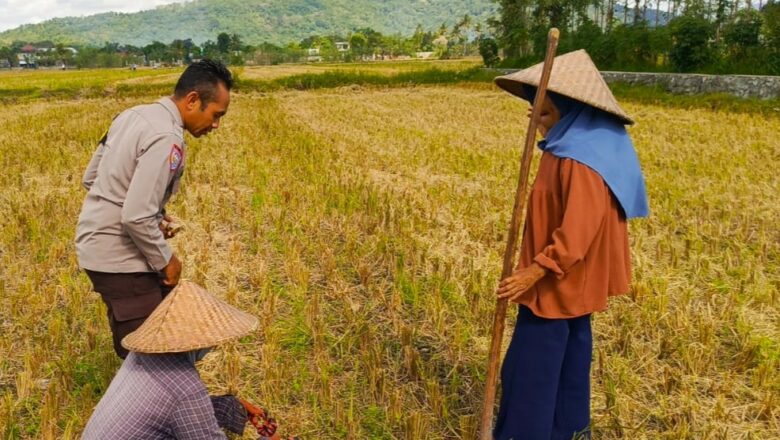 Bhabinkamtibmas Kuripan Utara Dorong Ketahanan Pangan Lewat Edukasi Pertanian