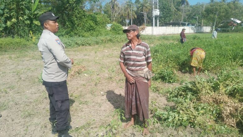 Dukung Ketahanan Pangan, Bhabinkamtibmas Gerung Gencarkan Sosialisasi ke Petani