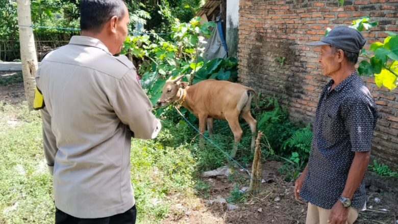 Inisiatif Polsek Lembar, Pekarangan Warga Disulap Jadi Sumber Pangan dan Ekonomi