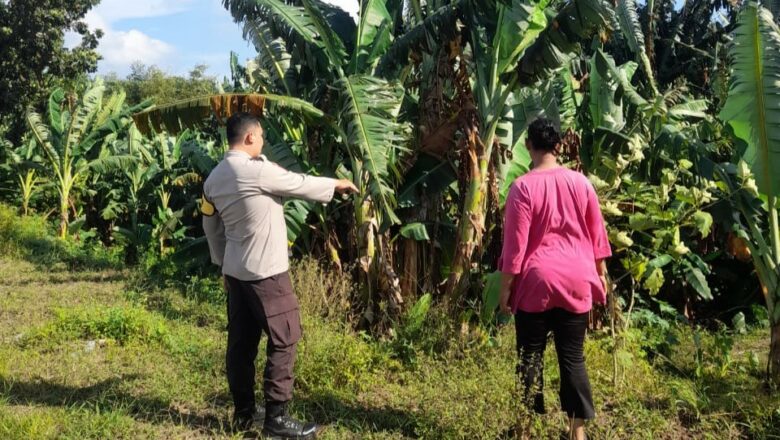 Aipda Ahyar Haryanto Giat Edukasi Ketahanan Pangan di Desa Gelogor