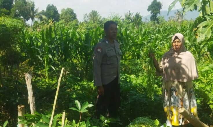 Sinergi Polri dan Petani di Lombok Barat, Ketahanan Pangan Jadi Prioritas