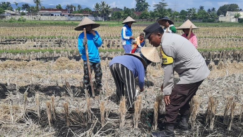 Sinergi Polri dan Petani Montong Are Tengah Perkuat Swasembada Pangan