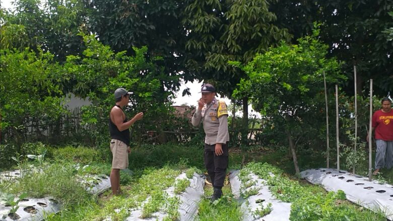 Dorong Swasembada Pangan, Bhabinkamtibmas Kuripan Edukasi Petani Jagaraga