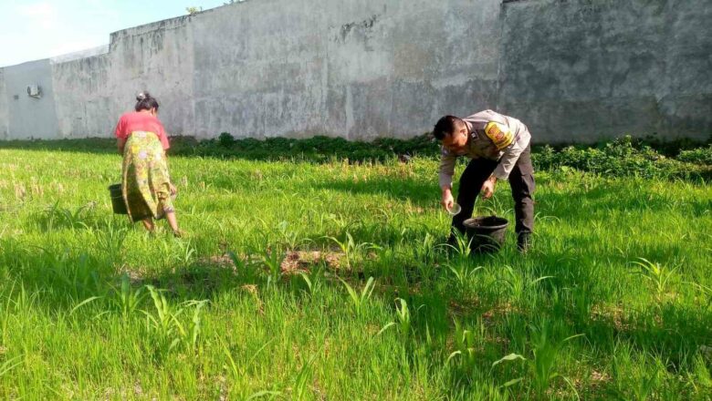 Polsek Kuripan Dorong Produktivitas Lahan Warga di Desa Jagaraga