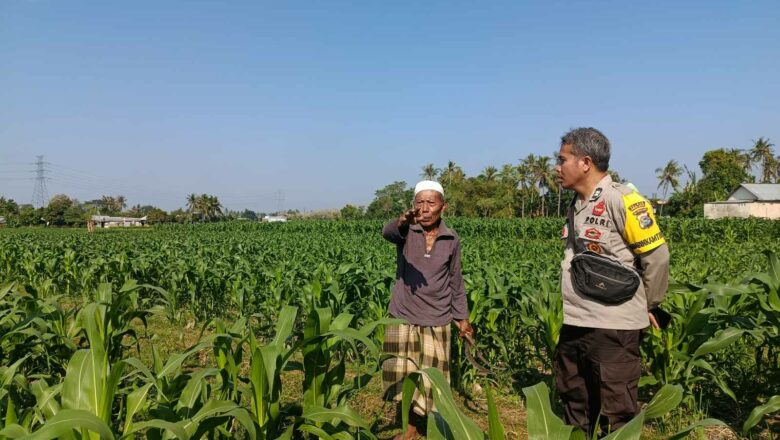 Wujudkan Ketahanan Pangan, Bhabinkamtibmas Sandik Dorong Pemanfaatan Lahan Kosong