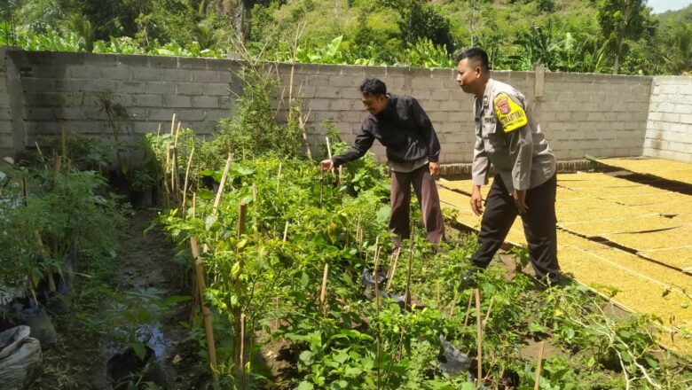 Ketahanan Pangan Dimulai dari Pekarangan: Inisiatif Polri di Sekotong Tengah