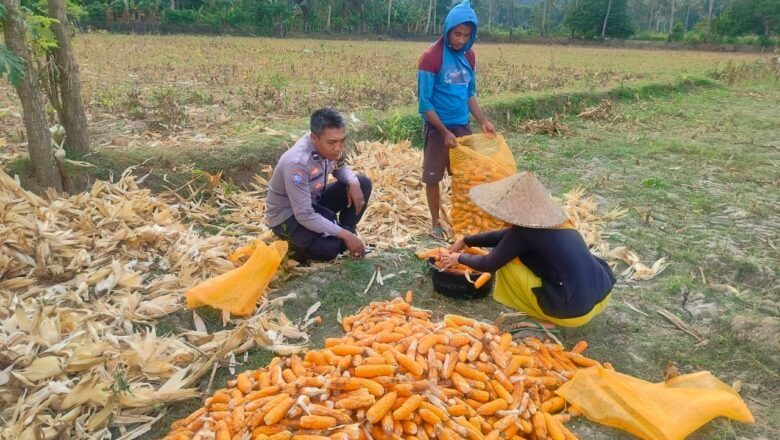 Polsek Lembar Ajak Petani Eyat Mayang Perkuat Ketahanan Pangan