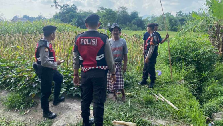 Sat Samapta Polres Lobar Patroli Pertanian di Kebon Ayu