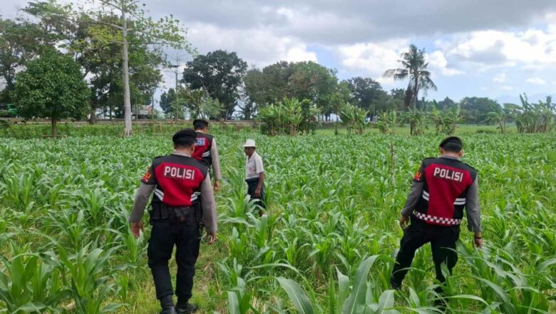 Polri dan Petani Bersinergi Jaga Ketahanan Pangan di Desa Batu Putih, Sekotong
