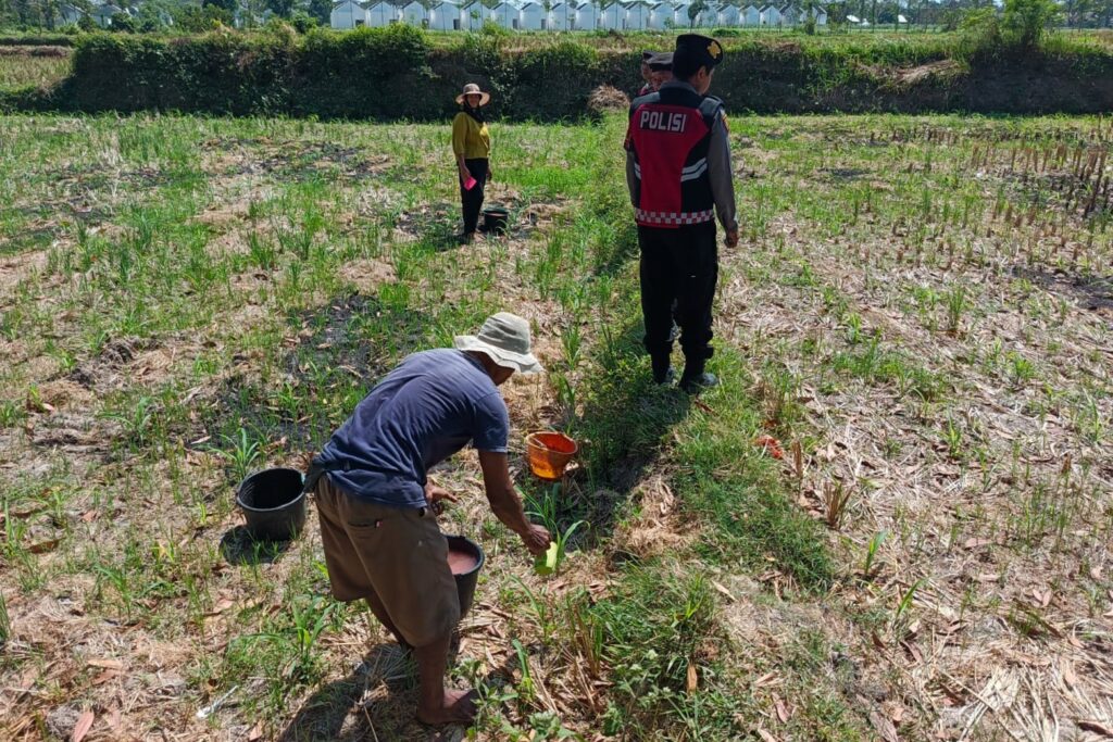 Polres Lombok Barat Dukung Ketahanan Pangan Lewat Patroli Humanis di Desa Kuripan