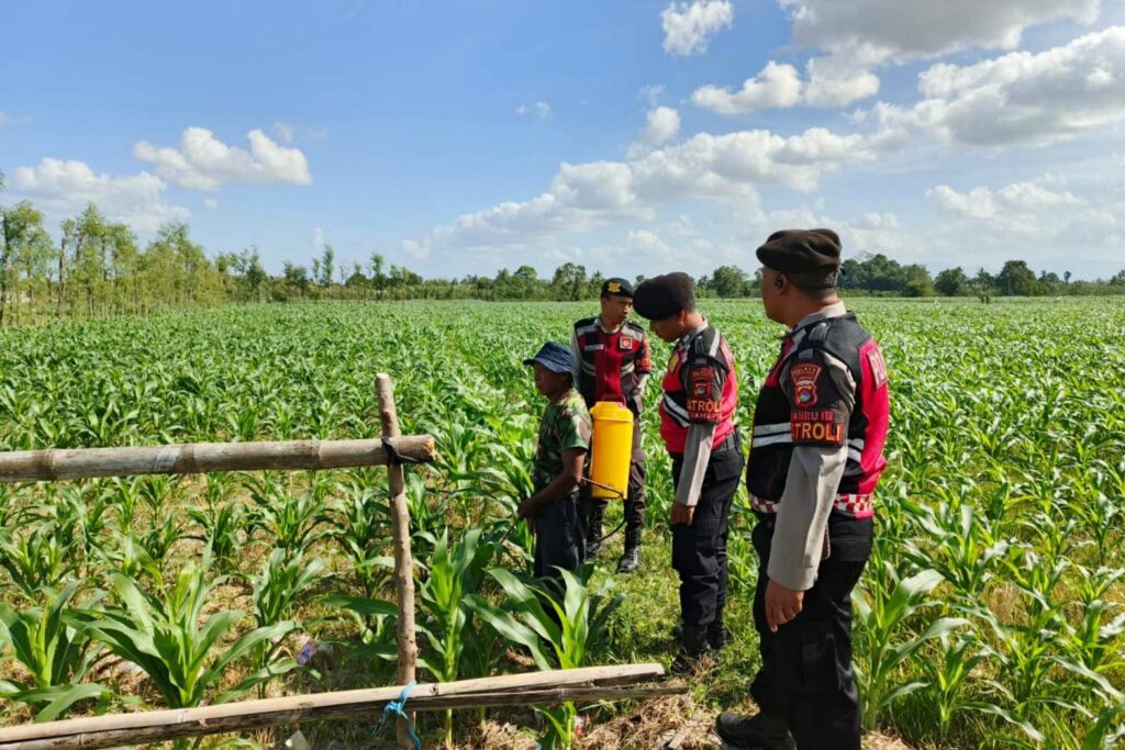 Polres Lombok Barat Dukung Petani Jagung di Desa Dasan Geres