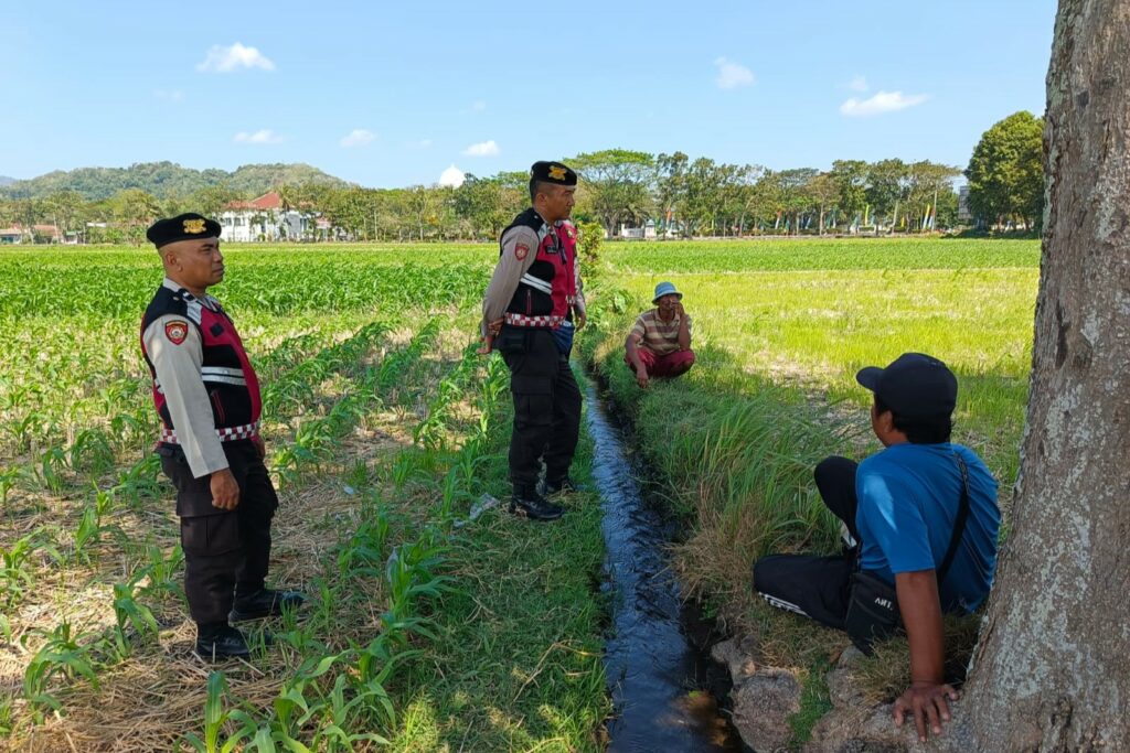 Polres Lombok Barat Pantau Lahan Jagung di Desa Tempos untuk Dukung Swasembada Pangan