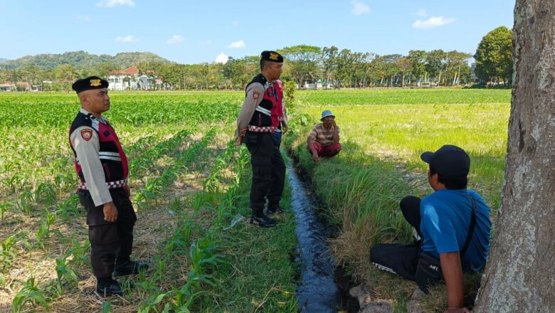 Polisi Kawal Produksi Jagung Petani Tempos, Gerung
