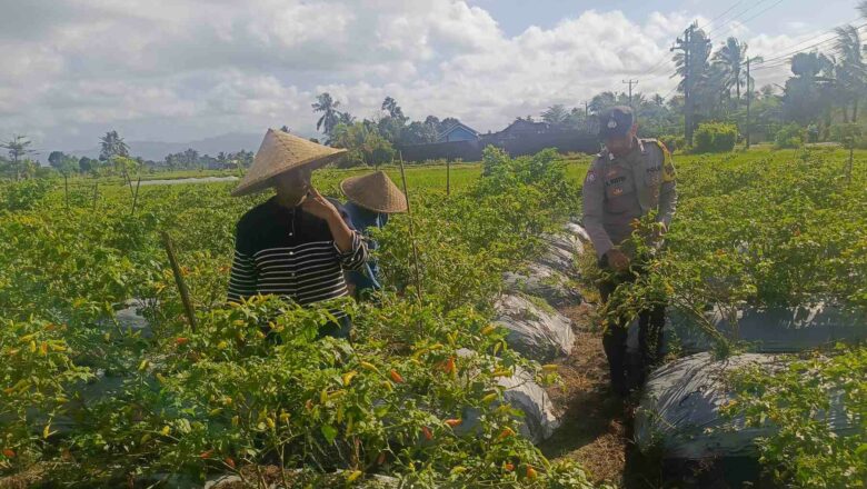 Sinergi Petani dan Polri di Kuripan Perkuat Kemandirian Pangan Lokal