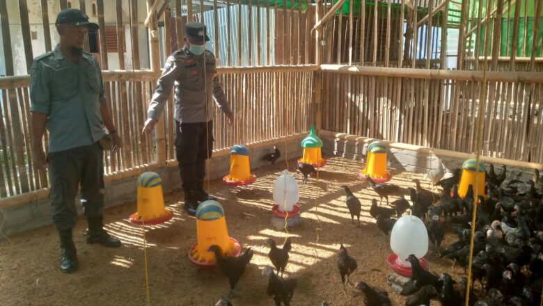 Kolaborasi Polri dan Petani Desa Jagaraga Bangun Ketahanan Pangan Lokal
