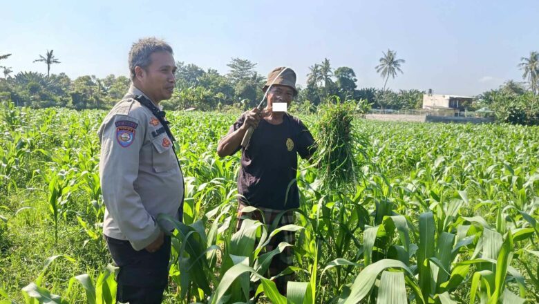 Polsek Batulayar Ajak Warga Perempung Manfaatkan Lahan untuk Ketahanan Pangan
