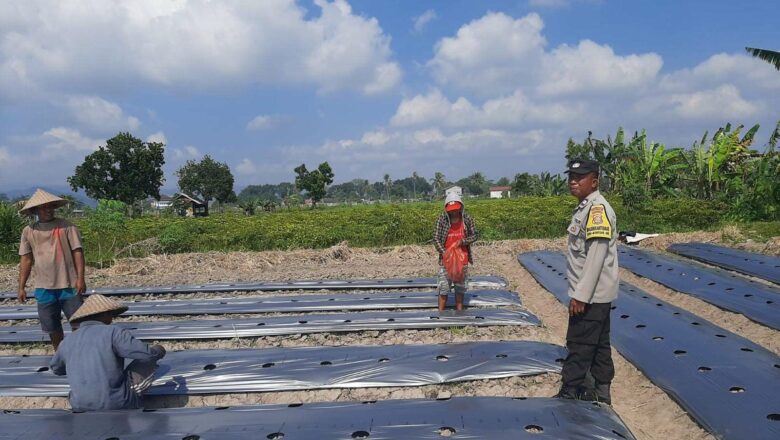 Bhabinkamtibmas Kediri Ajak Warga Montong Are Manfaatkan Lahan Kosong