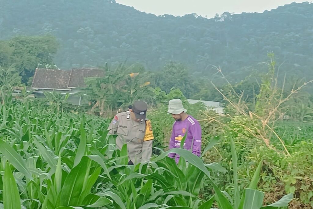 Polsek Lembar Dorong Ketahanan Pangan Lewat Pendampingan Petani Desa Babussalam