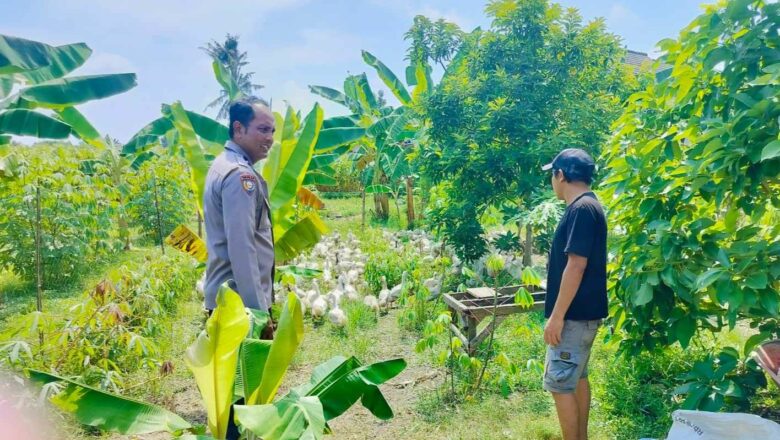 Bhabinkamtibmas Desa Bajur Ajak Warga Wujudkan Ketahanan Pangan Mandiri