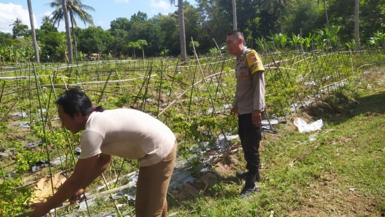 Polsek Sekotong Ajak Petani Dusun Berambang Tingkatkan Ketahanan Pangan